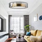 Потолочный светильник DANICA D60 от ImperiumLoft