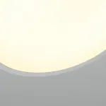 Потолочный светильник SELDEN D20 White от ImperiumLoft