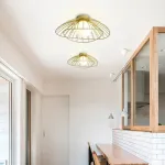 Полоточный светильник JARDIN Black от ImperiumLoft