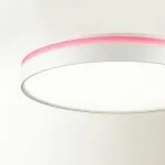Настенно-потолочный светильник Сонекс COLOR SN 100 7708/DL LED 48Вт 4000К D420 IP43 KEZO PINK от ImperiumLoft