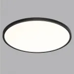 Настенно-потолочный светильник Сонекс MITRA LED SN 54 7660/48L LED 48Вт 3000/4000K D600 IP40 ALFA BLACK от ImperiumLoft