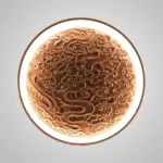 Настенный светодиодный светильник RODA WALL D50 Dark Brown от ImperiumLoft