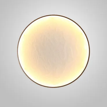 Настенный светодиодный светильник RODA WALL D40 Acrylic