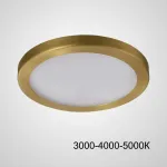 Точечный светодиодный светильник HEIN D10 Brass Трехцветный свет от ImperiumLoft