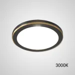 Точечный светодиодный светильник HEIN D10 Black 3000К от ImperiumLoft