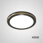 Точечный светодиодный светильник HEIN D10 Black 4000К от ImperiumLoft