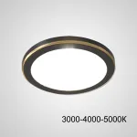 Точечный светодиодный светильник HEIN D10 Black Трехцветный свет от ImperiumLoft