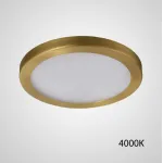 Точечный светодиодный светильник HEIN D12 Brass 4000К от ImperiumLoft