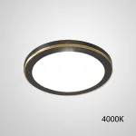 Точечный светодиодный светильник HEIN D12 Black 4000К от ImperiumLoft