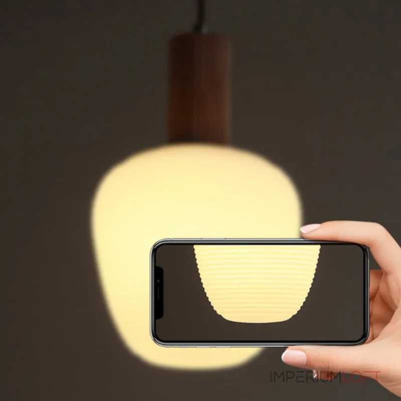 Подвесной светильник DAGFIN DUO Black от ImperiumLoft