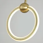 Подвесной светильник RING DUO B Brass Трехцветный свет от ImperiumLoft
