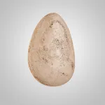 Настенный светильник BLAS Под скрытую проводку от ImperiumLoft