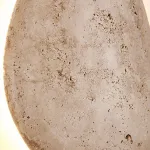 Настенный светильник BLAS Под скрытую проводку от ImperiumLoft