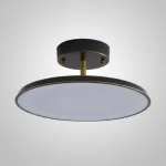 Потолочный светильник BIRK D20 Black от ImperiumLoft