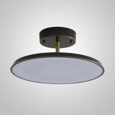 Потолочный светильник BIRK D20 Black Потолочный светильник BIRK D20 Black