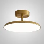 Потолочный светильник BIRK D30 Brass от ImperiumLoft