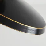 Потолочный светильник BIRK D12 Brass от ImperiumLoft