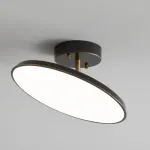 Потолочный светильник BIRK D12 Brass от ImperiumLoft