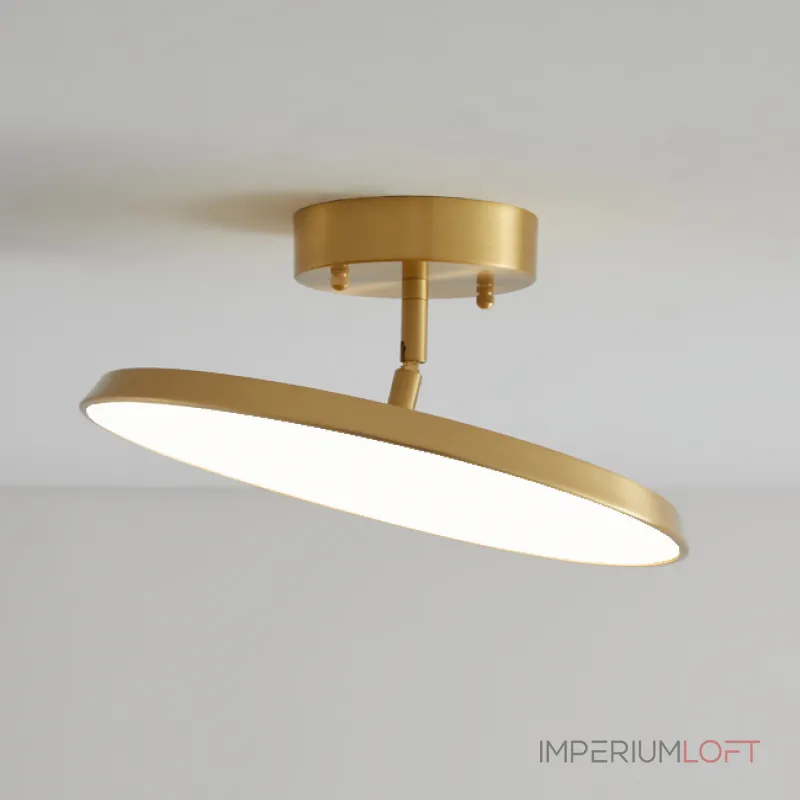 Потолочный светильник BIRK D12 Brass от ImperiumLoft