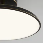 Потолочный светильник BIRK D12 Brass от ImperiumLoft