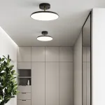 Потолочный светильник BIRK D12 Brass от ImperiumLoft