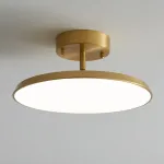 Потолочный светильник BIRK D12 Brass от ImperiumLoft