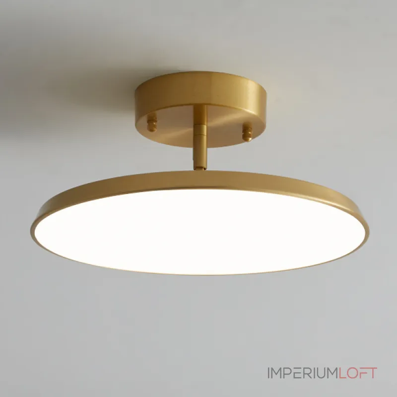 Потолочный светильник BIRK D12 Brass от ImperiumLoft