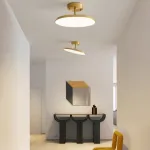 Потолочный светильник BIRK D12 Brass от ImperiumLoft