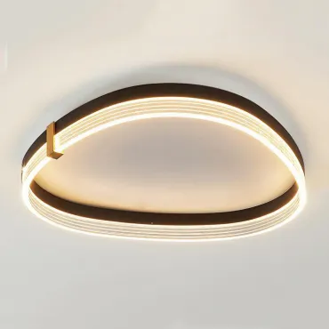 Потолочный светильник ALMER B CH C D50 Потолочный светильник ALMER B CH C D50