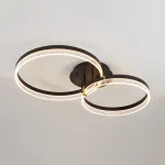 Потолочный светильник ALMER CH D30+40 от ImperiumLoft