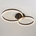 Потолочный светильник ALMER CH D50+60 от ImperiumLoft