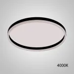 Потолочный светильник MONET D80 Black 4000К от ImperiumLoft