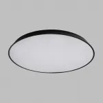 Потолочный светильник TERRA D52 Black от ImperiumLoft