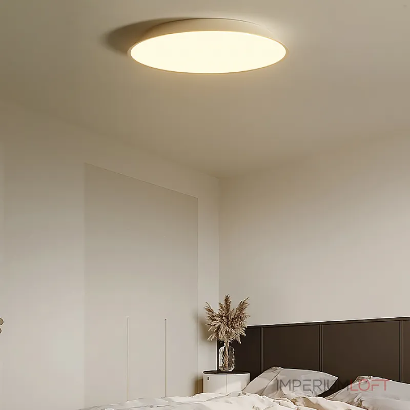 Потолочный светильник TERRA D42 White от ImperiumLoft