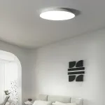 Потолочный светильник TERRA D42 White от ImperiumLoft