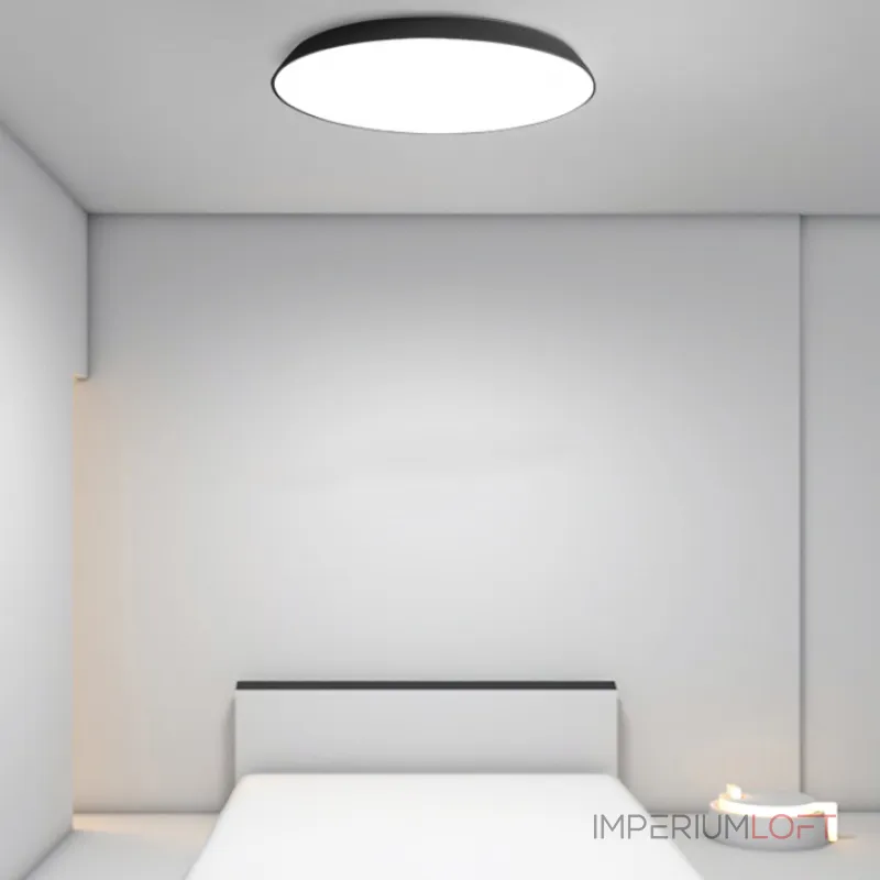 Потолочный светильник TERRA D42 White от ImperiumLoft