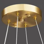 Кольцевая люстра OLAGUS B Black от ImperiumLoft