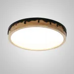 Потолочный светильник DROPLAP D32 Black от ImperiumLoft