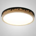 Потолочный светильник DROPLAP D62 Black от ImperiumLoft