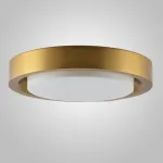 Потолочный светильник BUTTON GOLD D47 от ImperiumLoft