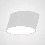 Потолочный светильник INCLINE D25 H13 White от ImperiumLoft