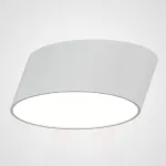 Потолочный светильник INCLINE D40 H16 White от ImperiumLoft