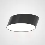 Потолочный светильник INCLINE D25 H8 Black от ImperiumLoft