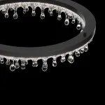 Кольцевые люстры и светильники ANDRUS D60