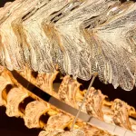 Кольцевые люстры и светильники JASKA P2 D60 D95 от ImperiumLoft