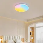 Плоский потолочный светильник с функцией имитации рассвета, заката, голубого неба и других эффектов DISC SUNSET D53 без бокового рассеивателя от ImperiumLoft