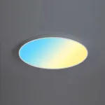 Плоский потолочный светильник с функцией имитации рассвета, заката, голубого неба и других эффектов DISC SUNSET D53 без бокового рассеивателя от ImperiumLoft