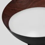 Потолочные светильники с асимметричными купольными плафонами с внутренней отделкой под дерево EDVIN White от ImperiumLoft