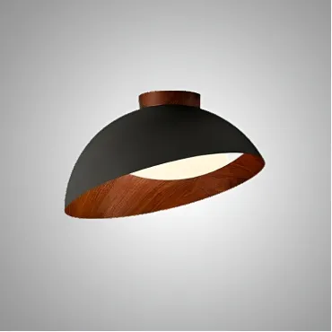 Потолочный светильник EDVIN Black Потолочный светильник EDVIN Black