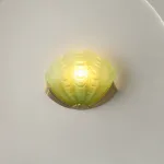 Настенный светильник Glass Shell Green от ImperiumLoft
